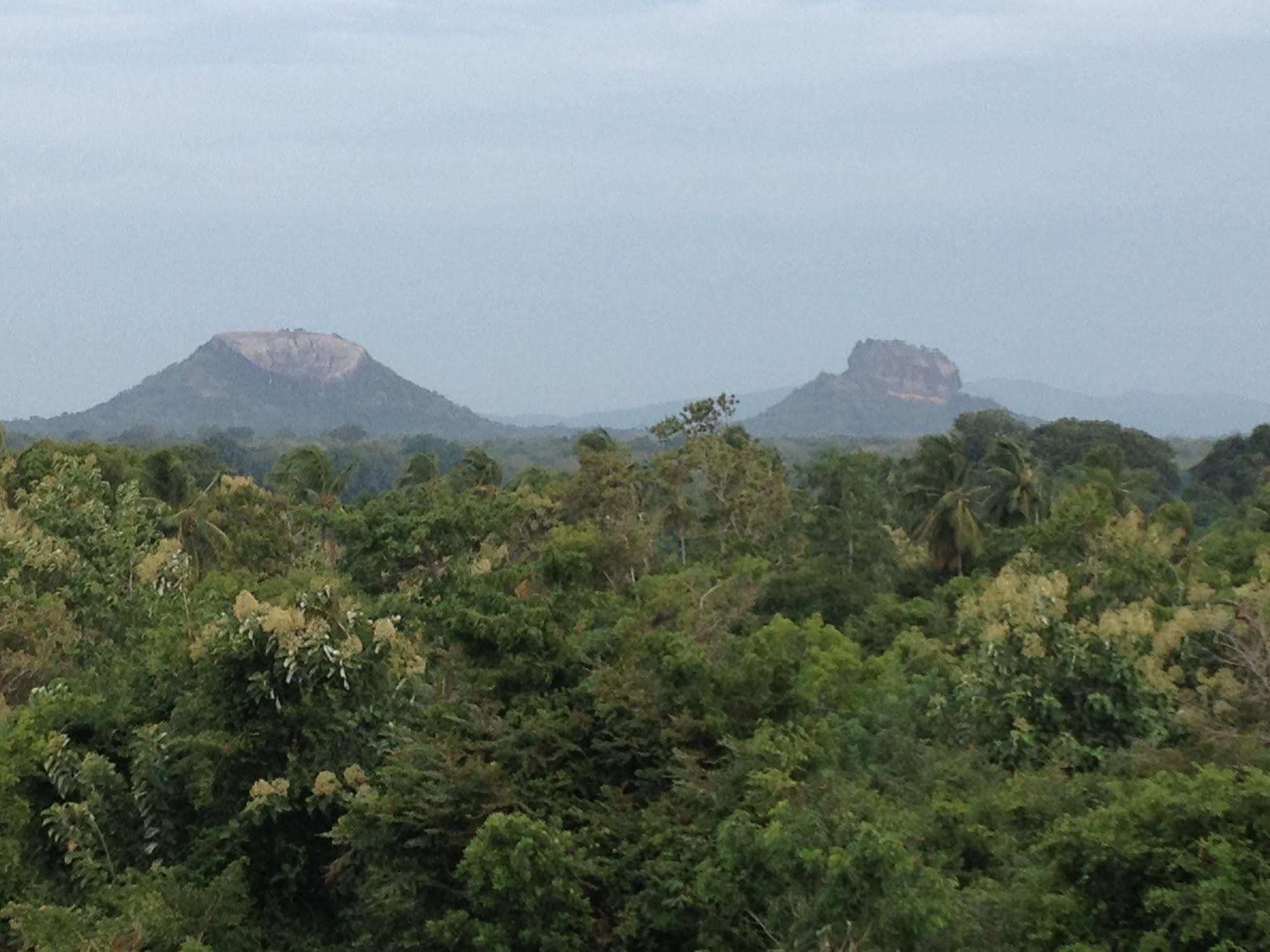 Cassandra Culture Resort Sigiriya Buitenkant foto